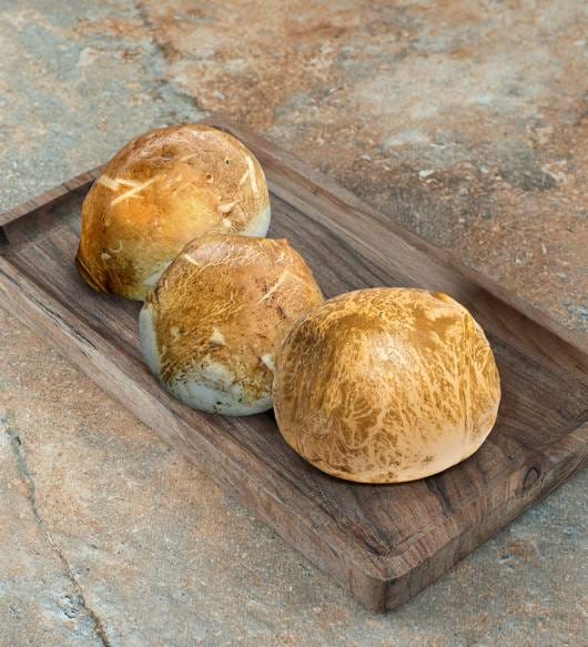 mozzarella affumicata di bufala campana DOP - Sciorio Caseificio